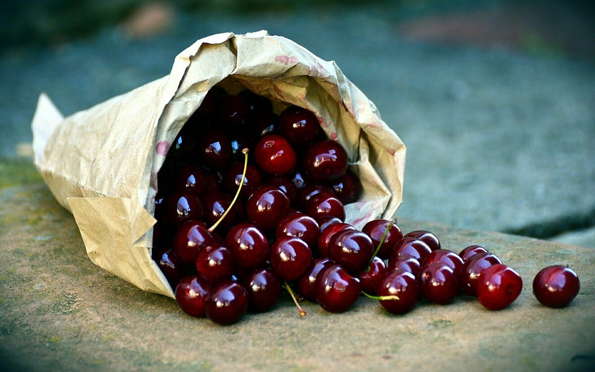 Eine Papiertüte voller reifer Kirschen Eine Papiertüte voller reifer Kirschen
